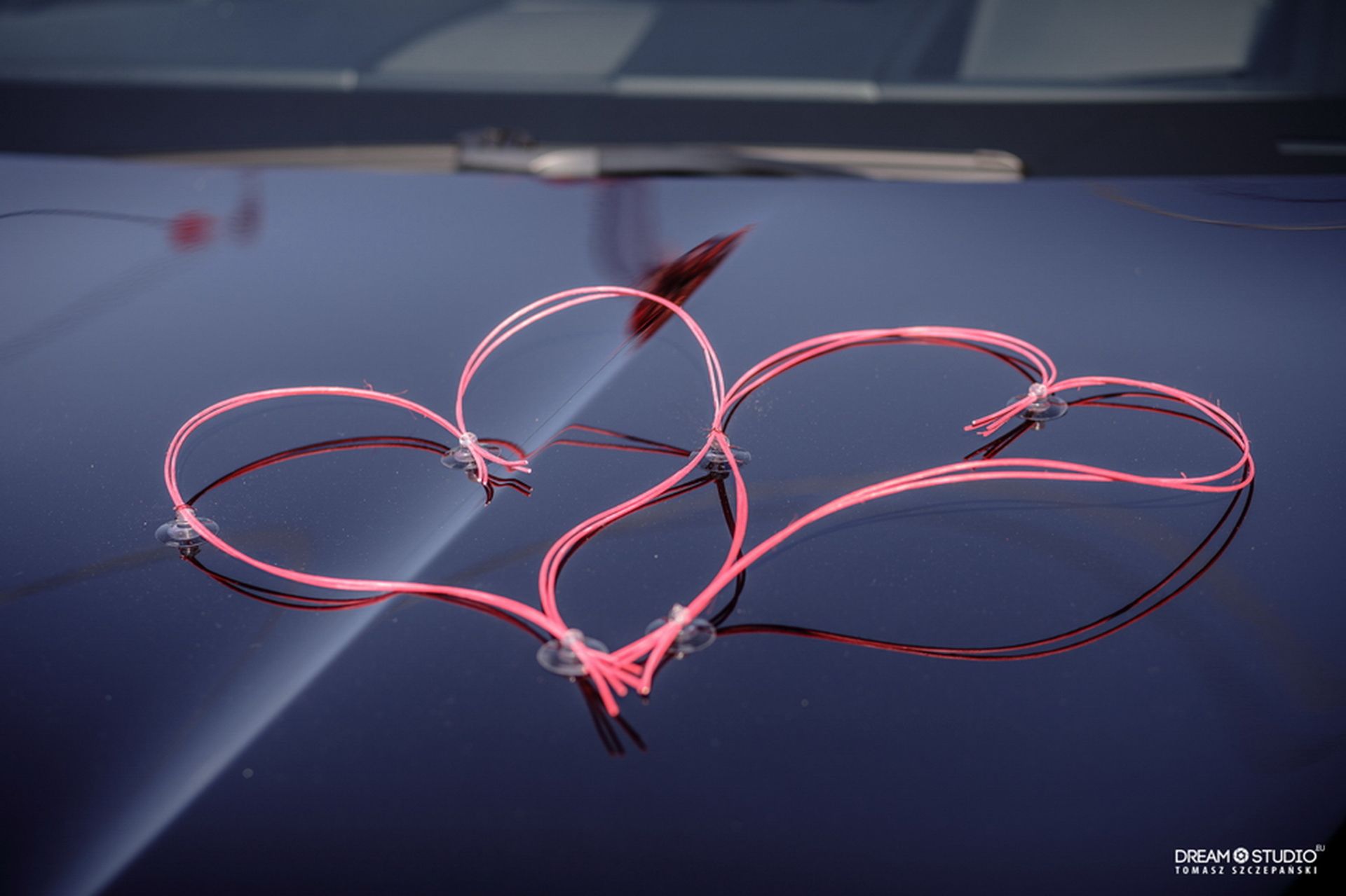 Kwiaciarnia Magnolia 61